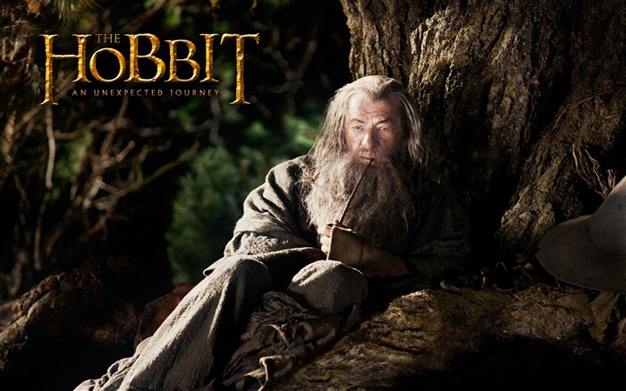 The Hobbit: An Unexpected Journey 霍比特人：意外旅程10