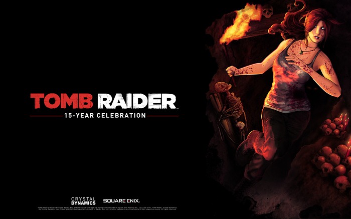 Tomb Raider 15-летнего Празднование HD обои #4