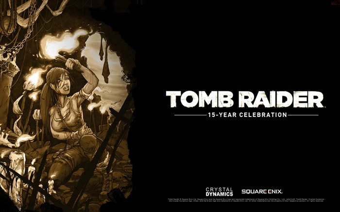Tomb Raider 15-летнего Празднование HD обои #6