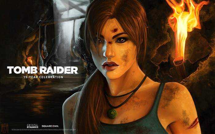 Tomb Raider 15-летнего Празднование HD обои #7