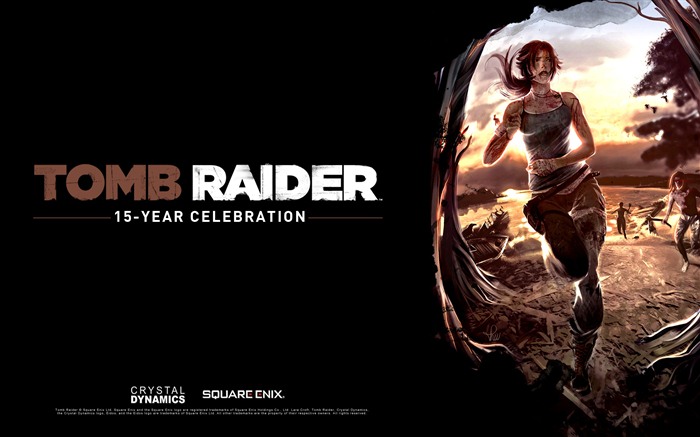 Tomb Raider 15-летнего Празднование HD обои #8