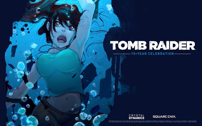 Tomb Raider 15-летнего Празднование HD обои #9