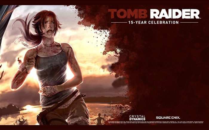 Tomb Raider 15-летнего Празднование HD обои #16