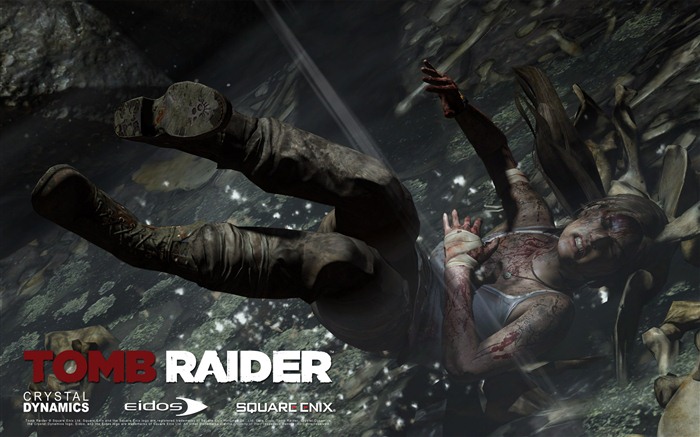 Tomb Raider 9 HD обои #4