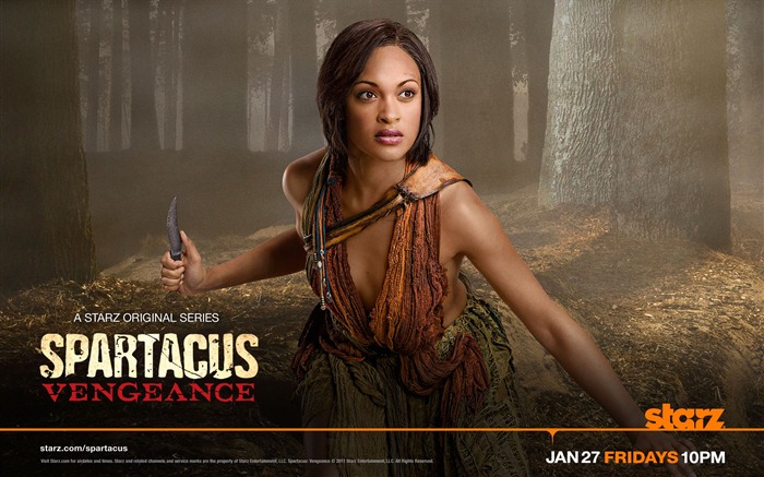 Spartacus: Vengeance fonds d'écran HD #5
