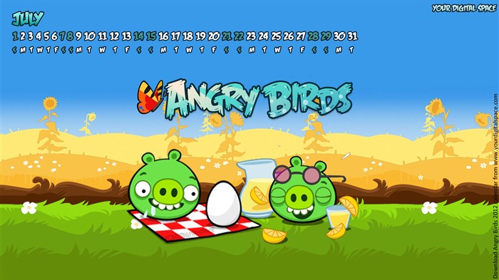 Angry Birds 2012 Kalendář tapeta #6