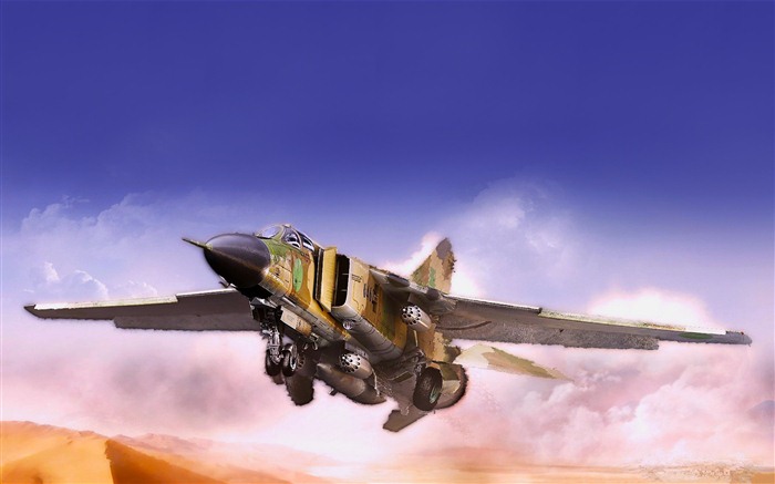 Military fighter HD-Breitbild-Wallpaper #11