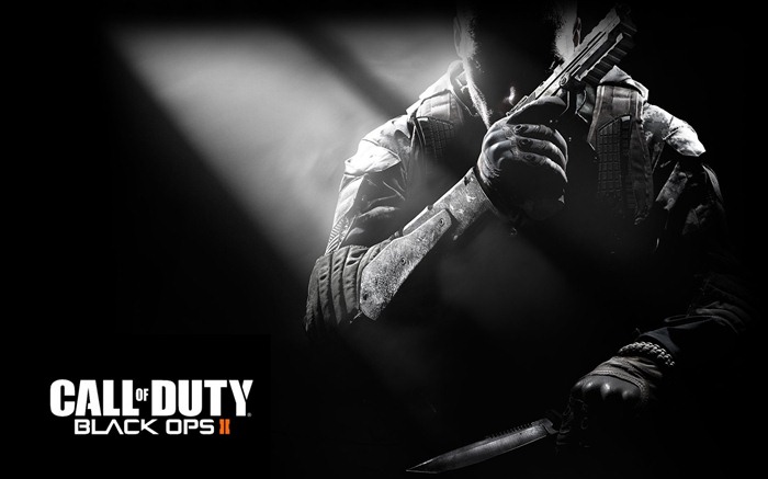 Зов Duty: Black Ops 2 HD обои #11