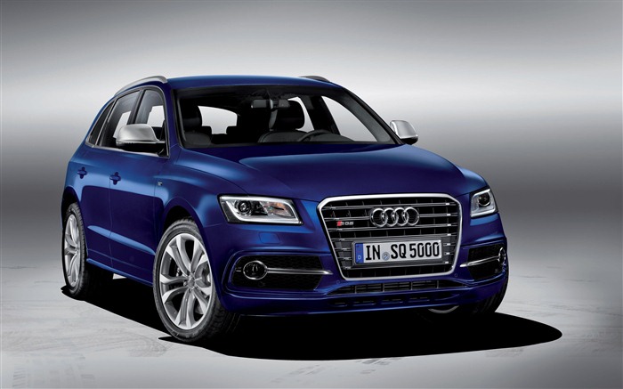 2013 Audi TDI SQ5 fondos de pantalla de alta definición #2