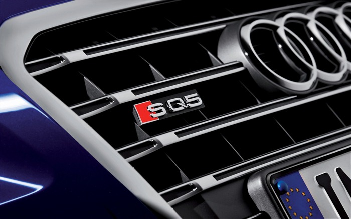 2013 Audi TDI SQ5 HD обои #11