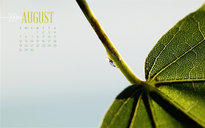 Август 2012 Календарь обои (2) #7