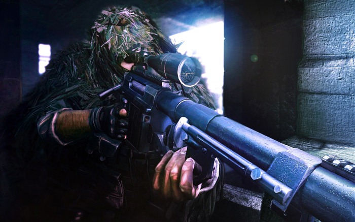 Sniper: Ghost Warrior 2 狙击手：幽灵战士2 高清壁纸16