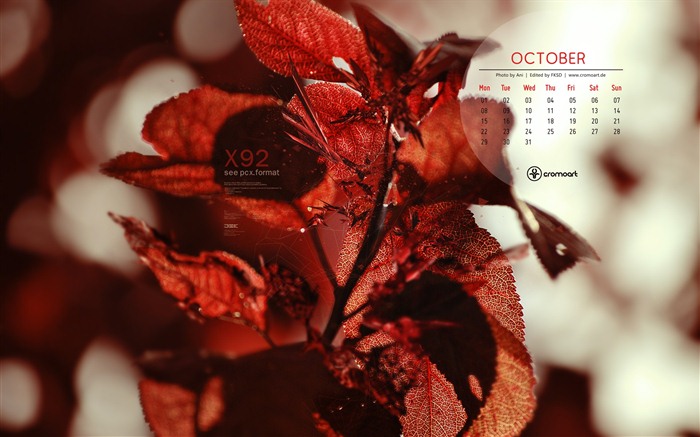 Октябрь 2012 Календарь обои (2) #20