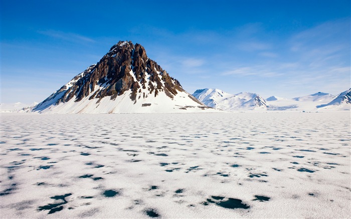 Windows 8 обоев: Арктика, природа экологического ландшафта, арктических животных #1