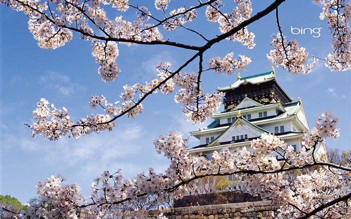 Bing 微軟必應高清壁紙：日本風景主題壁紙 #6