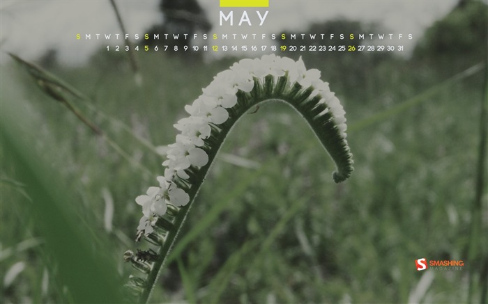 Mai 2013 calendar fond d'écran (2) #13