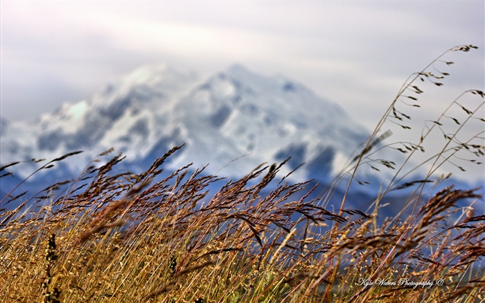 윈도우 8 테마 배경 화면 : 알래스카 풍경 #15