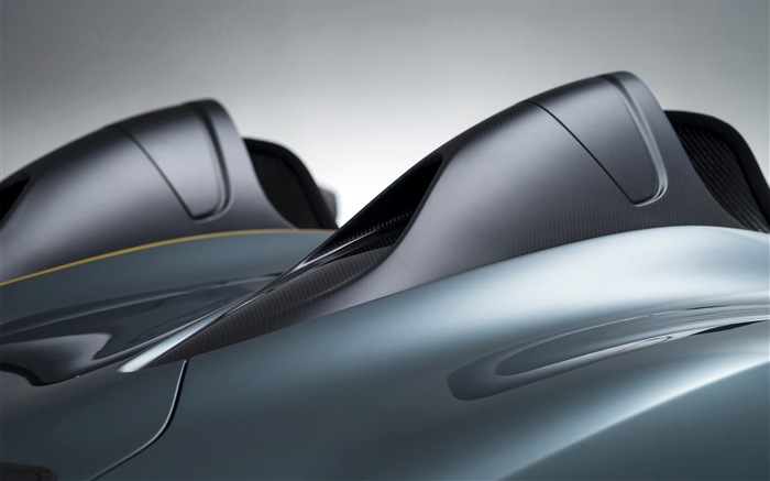 2013 Aston Martin CC100 Speed​​ster concept 阿斯頓·馬丁CC100概念車高清壁紙 #13
