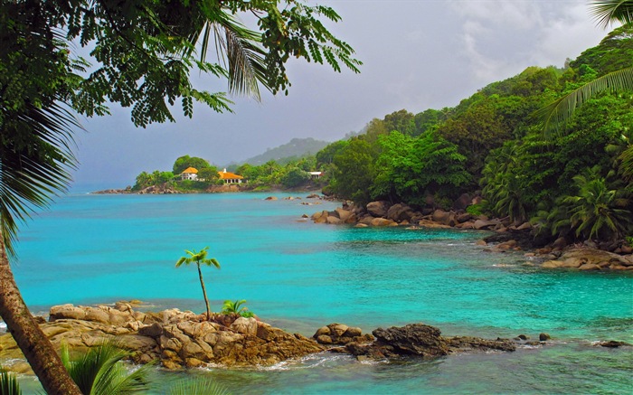 Сейшельские острова природа пейзаж HD обои #6