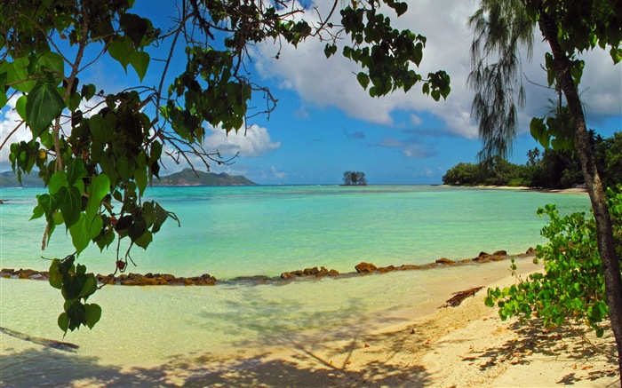 Сейшельские острова природа пейзаж HD обои #7