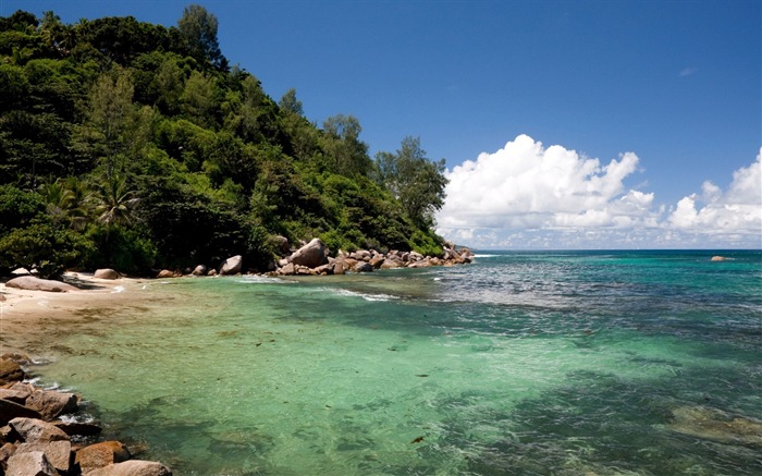 Сейшельские острова природа пейзаж HD обои #9