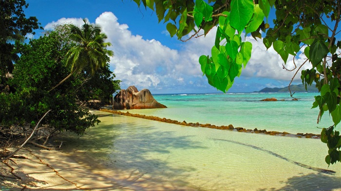 Seychely Ostrov terén HD tapety na plochu #12