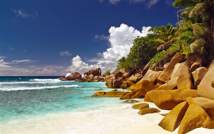 Сейшельские острова природа пейзаж HD обои #15