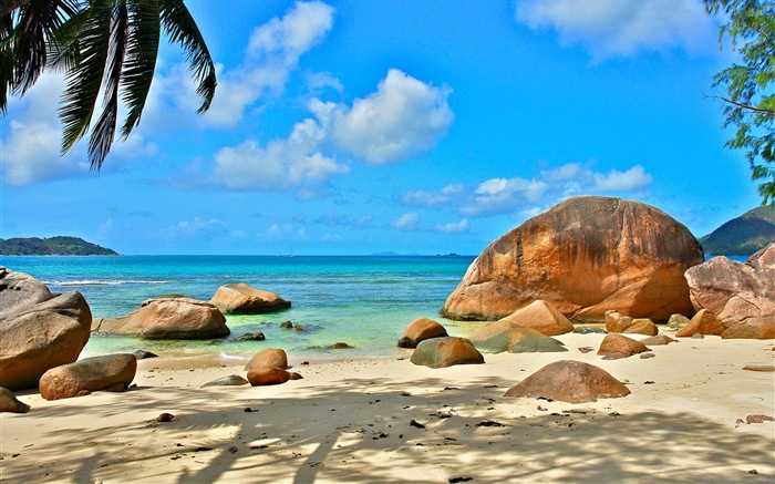 Сейшельские острова природа пейзаж HD обои #18