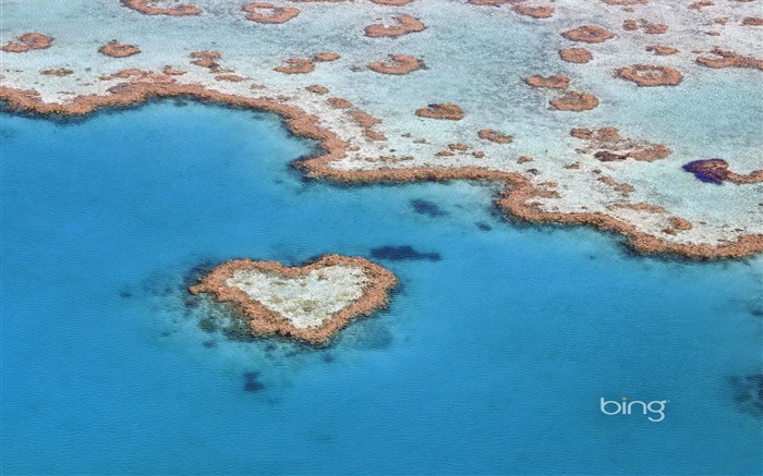 Microsoft Bing thème fonds d'écran HD, l'Australie, ville, paysage, animaux #12