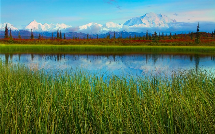 Denali National Park Landschaft HD Wallpaper #11