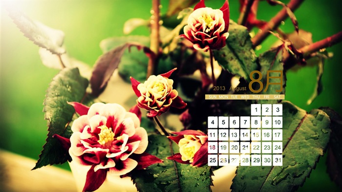 08 2013 calendario fondo de pantalla (1) #18