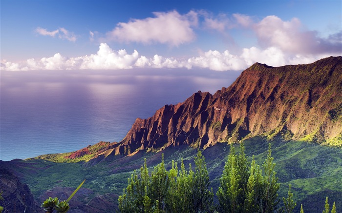 Windows 8 темы обои: гавайские пейзажи #12