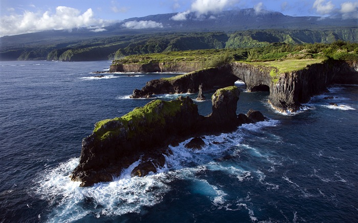 Windows 8 es el tema de fondo de pantalla: paisaje hawaiano #13
