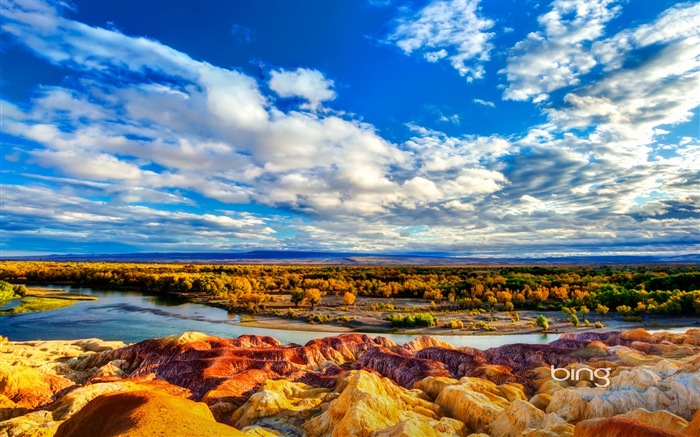 2013 Bing paysages automne, animaux, fonds d'écran HD urbaines #1