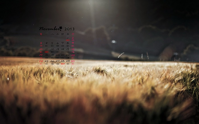 Ноябрь 2013 Календарь обои (1) #12