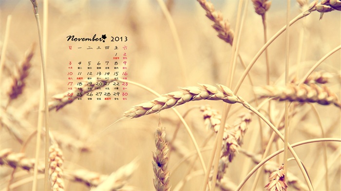 Ноябрь 2013 Календарь обои (1) #16