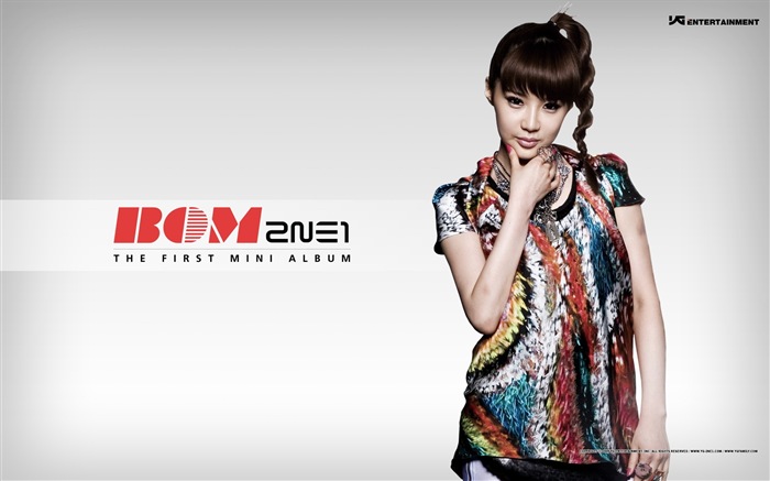 한국 음악 소녀 그룹 2NE1의 HD 배경 화면 #2
