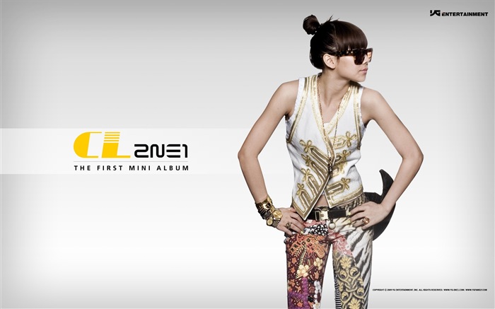 한국 음악 소녀 그룹 2NE1의 HD 배경 화면 #3