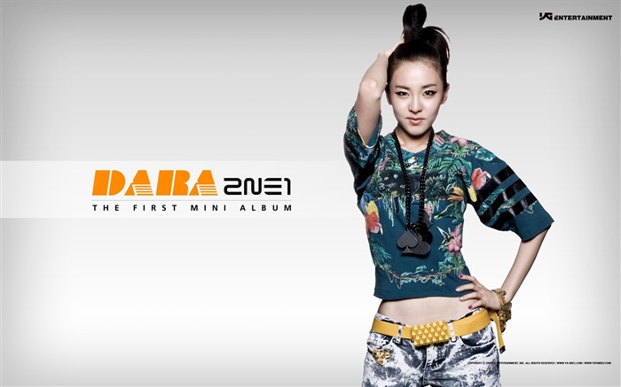 한국 음악 소녀 그룹 2NE1의 HD 배경 화면 #4