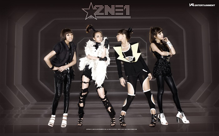한국 음악 소녀 그룹 2NE1의 HD 배경 화면 #11