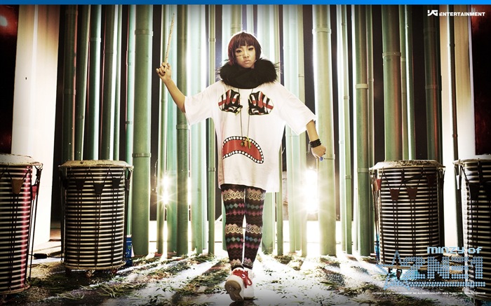 Korean music girls skupina 2NE1 HD tapety na plochu #15