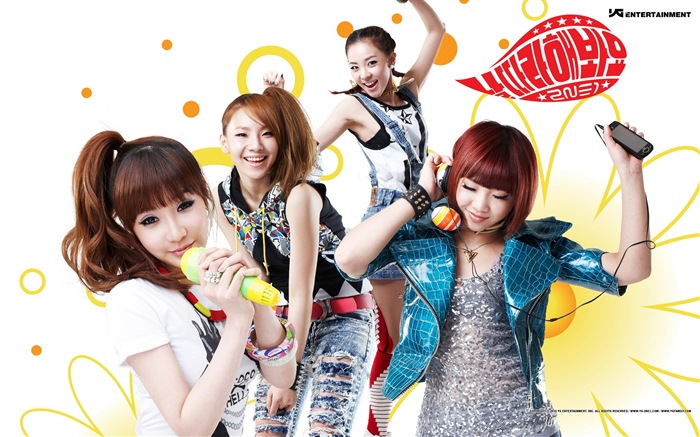 한국 음악 소녀 그룹 2NE1의 HD 배경 화면 #23
