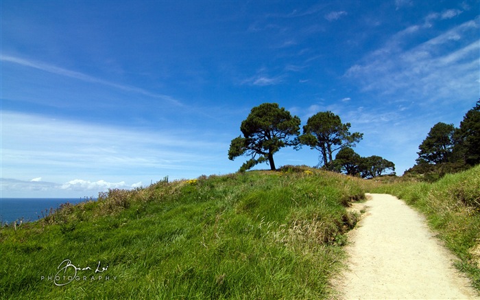Новая Зеландия North Island красивые пейзажи, Windows 8 тема обои #18