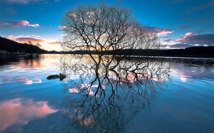 Reflexión en el fondo de pantalla paisajes naturales de agua #19