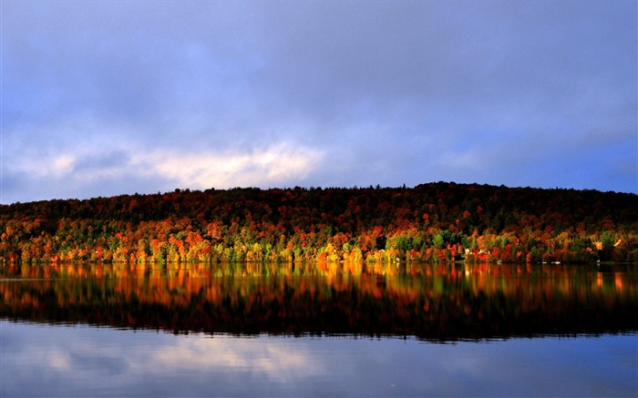 가을의 HD 배경 화면에있는 물과 나무 #3
