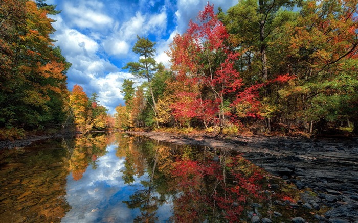 가을의 HD 배경 화면에있는 물과 나무 #4