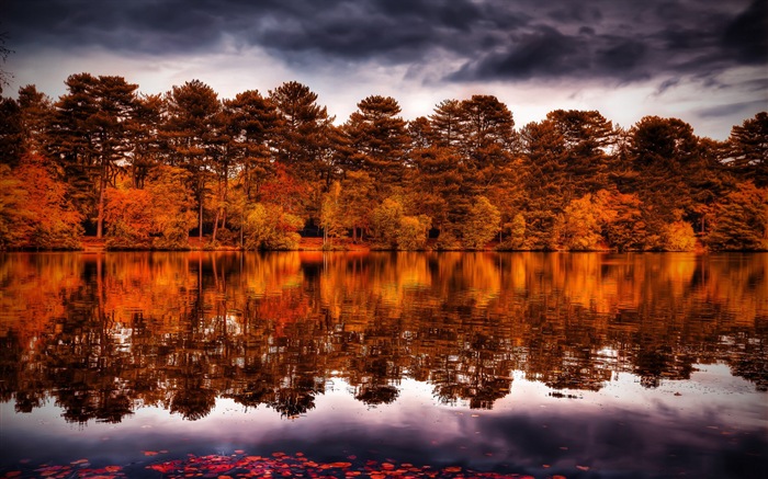 가을의 HD 배경 화면에있는 물과 나무 #13