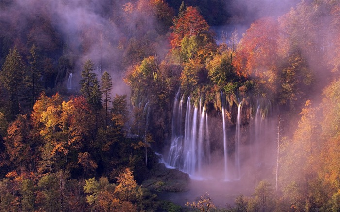 Foggy podzimní listí a stromy HD Tapety na plochu #11