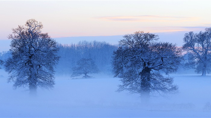 美しい寒い冬の雪、Windows 8のパノラマワイドスクリーンの壁紙 #6