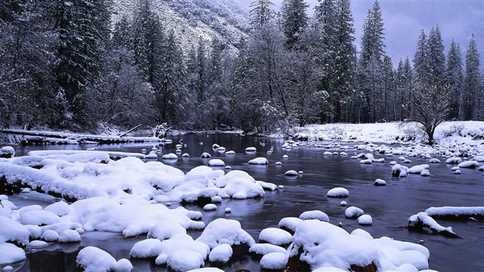 아름다운 추운 겨울 눈, 윈도우 8 파노라마 와이드 스크린 배경 화면 #10